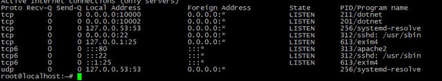 netstat