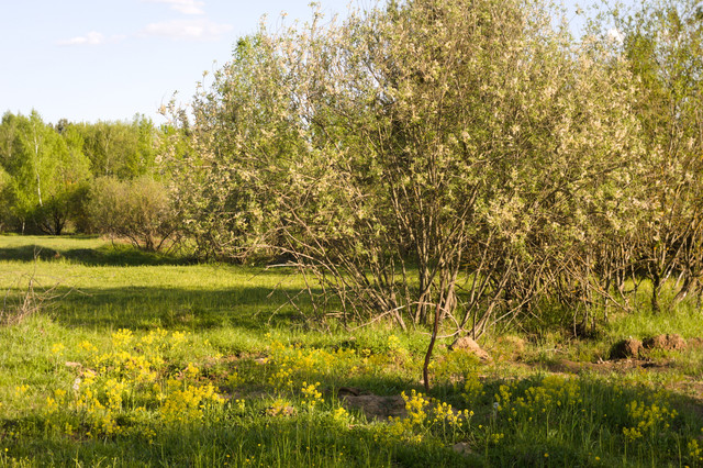 DSC3488.jpg