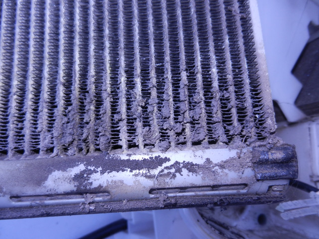 DSCN1922.jpg