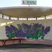 DSC09768-5