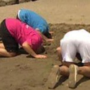 head-In-Sand