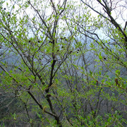 2009-03-25-102