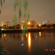2007-12-29-76