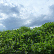 P1330064