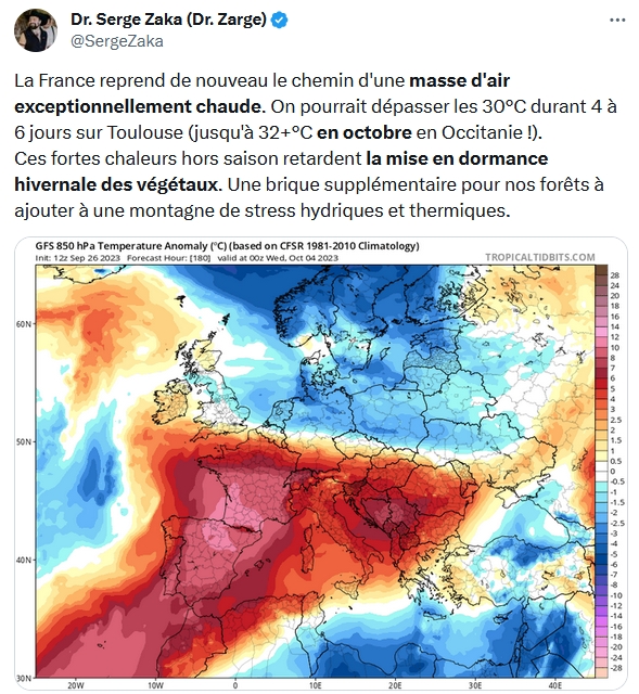 https://i.ibb.co/VL47FMT/Screen-Shot-20230927114644.jpg