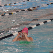 IMG-2619