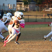 IMG-1634