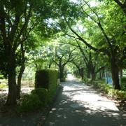 P1320209