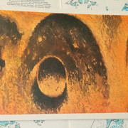 IMG-4538