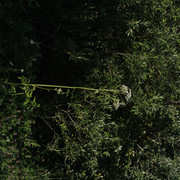 DSC5310-result