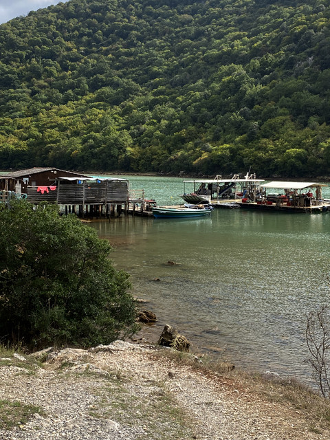 IMG-1618