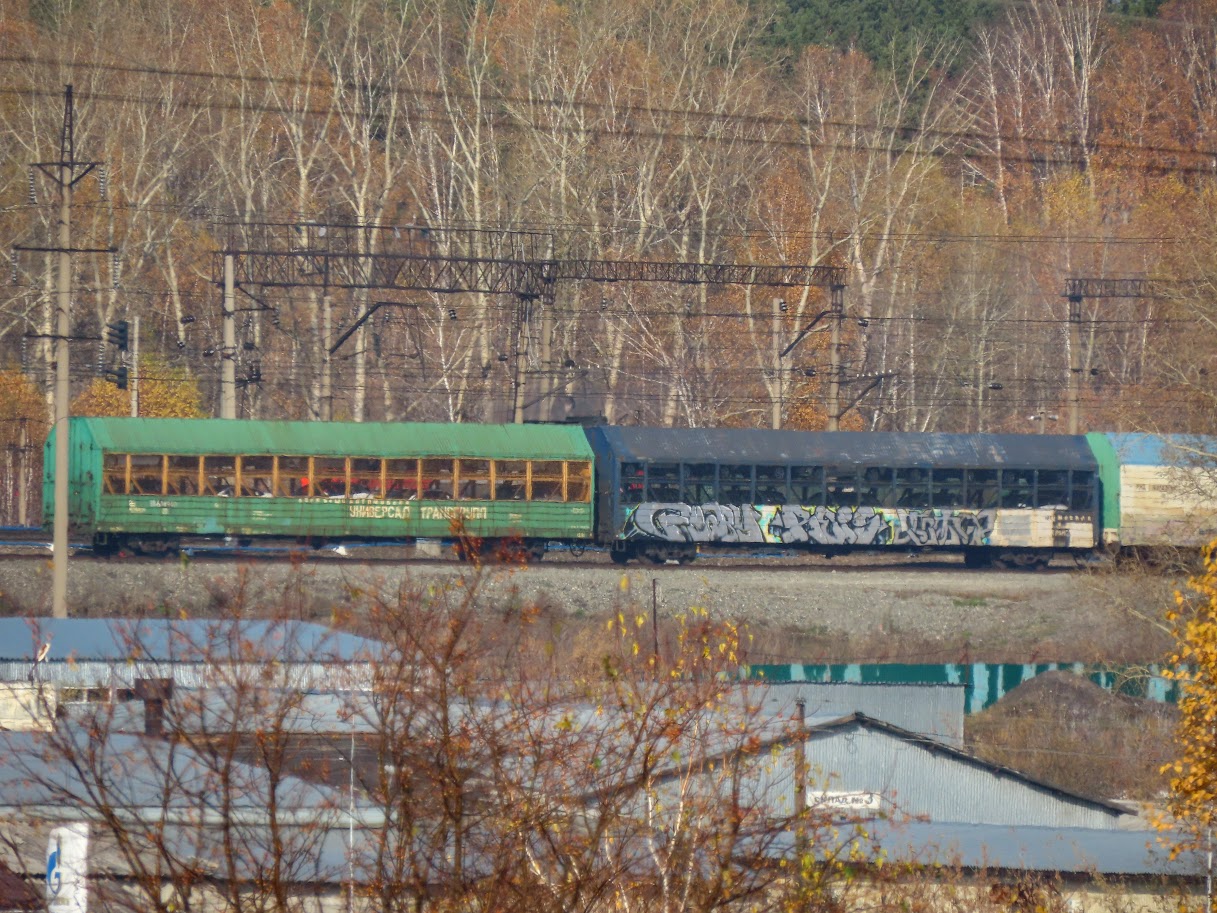 36251167