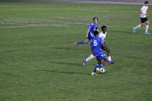 IMG-0180.jpg