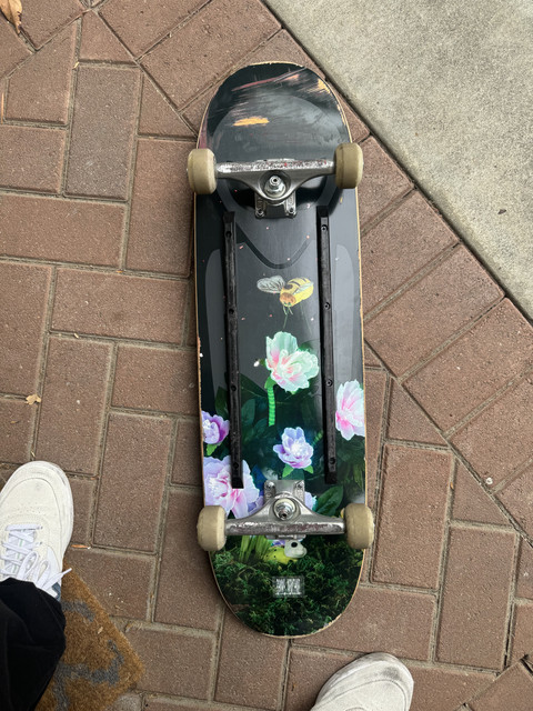 IMG-0072