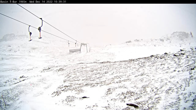 no-snow.jpg