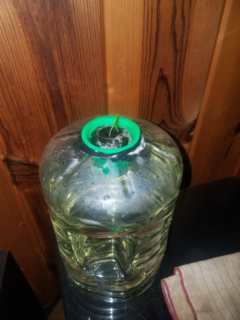 20191106_184202.jpg
