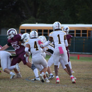 IMG-1835