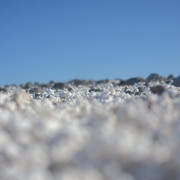 DSCF8490