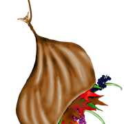 fleurs2