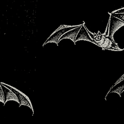 header48