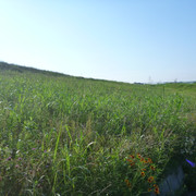 2021-06-28-085