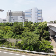 2011-07-03-26