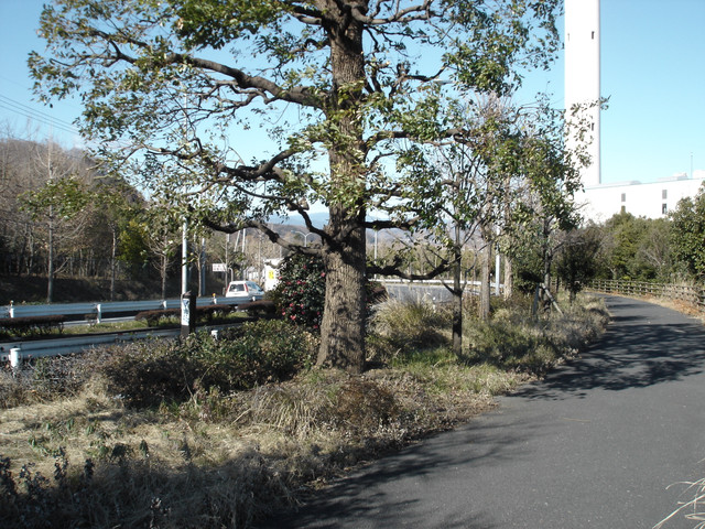 2012-01-06-216.jpg