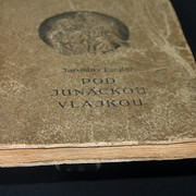 IMG-5833