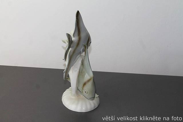 IMG-7900.jpg