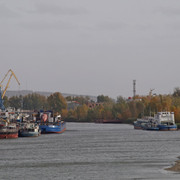 DSC08232