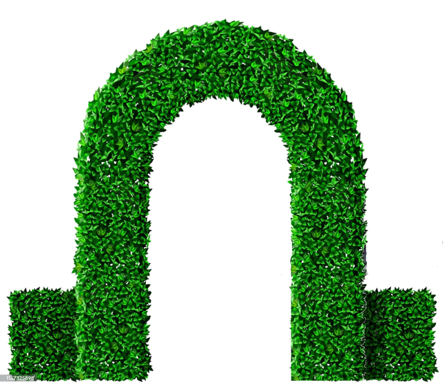 oie-transparent-18.png