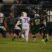 IMG-6466