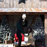IMG-6467
