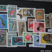 IMG-3784