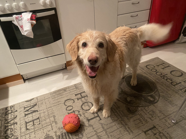 85-A0-B7-DD-0018-49-DA-AFB2-9-B738-BBAD2