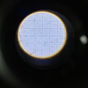 IMG-2747