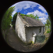 DSCF4977