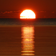 IMG-3513