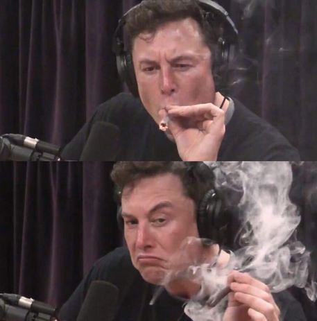tripmaster1.png