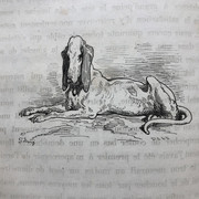 IMG-0933
