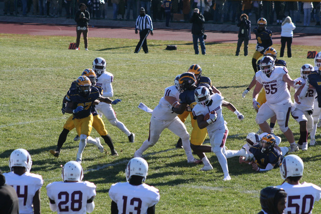 IMG-2742.jpg