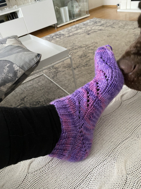 268-D4-FBB-2907-4-CB5-880-F-5-EA79-C108-