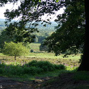 DSC0280