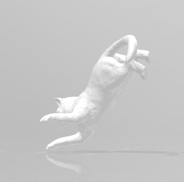 Kat-1