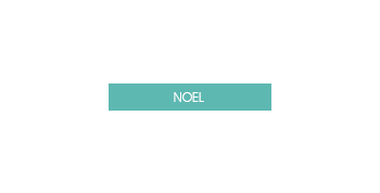 NOEL.png