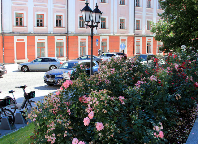 IMG-1030.jpg
