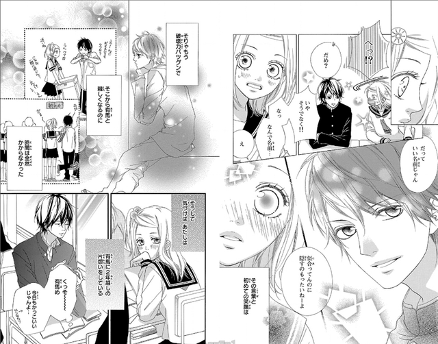 DLRAW-NET-012-013