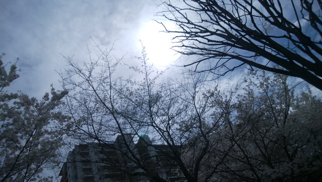 DSC-0011.jpg