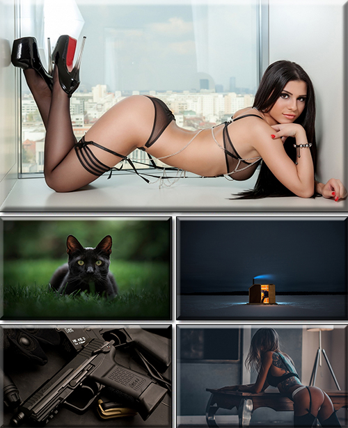 Computer Desktop Wallpapers Collection. Part 3541