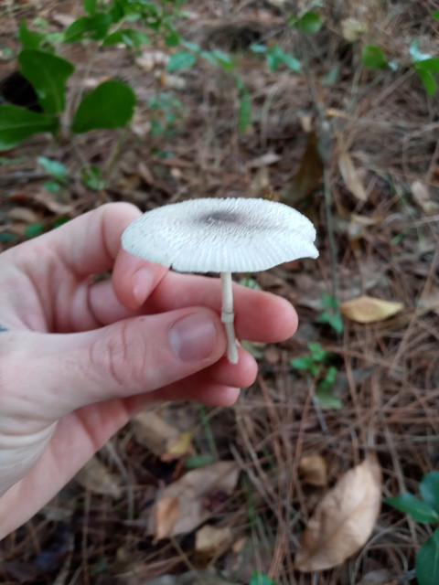 20201003-092520.jpg